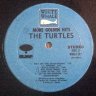 Turtles - More Golden Hits