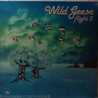 Wild Geese ' - Flight Two