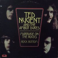 Amboy Dukes and Ted Nugent - Marriage on the Rocks