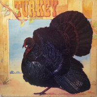 Wild Turkey - Turkey