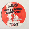 Flamin Groovies - One Night Stand
