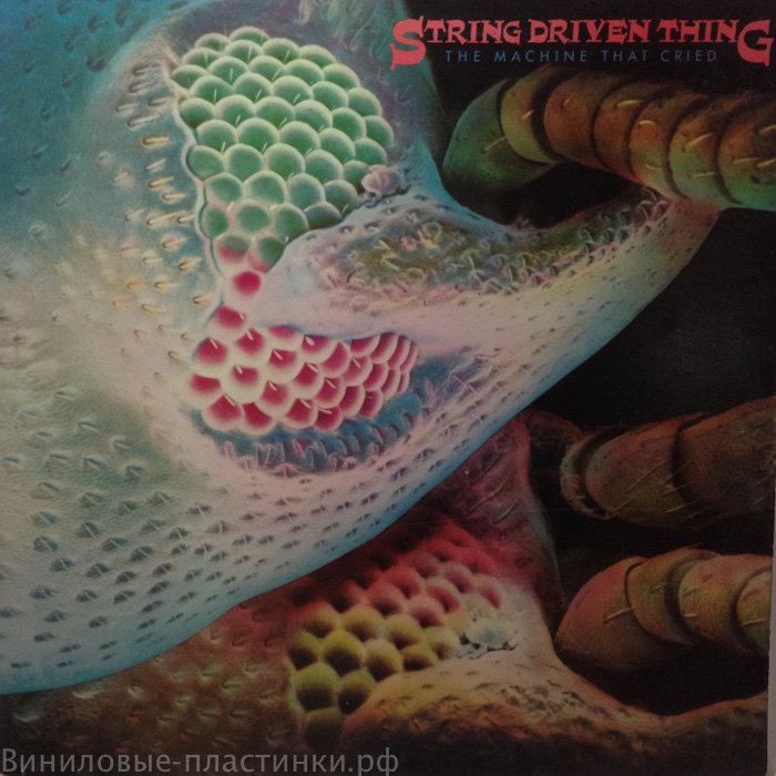 String Driven Thing - Machine That Cried