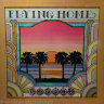Summer - Flying Home (Ins)