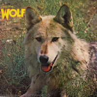 Darryl Way'S Wolf - Canis-Luupus