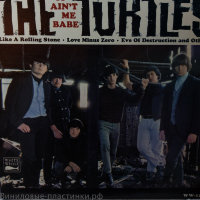 Turtles - It Ain'T Me Babe