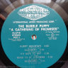 Bubbe Puppy - A Gathering Of Promises
