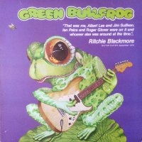Green Bullfrog - Natural Magic